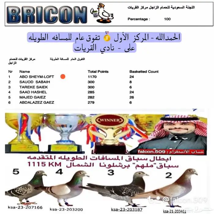 زاجل سباقات مسافات طويله 1115 km 0