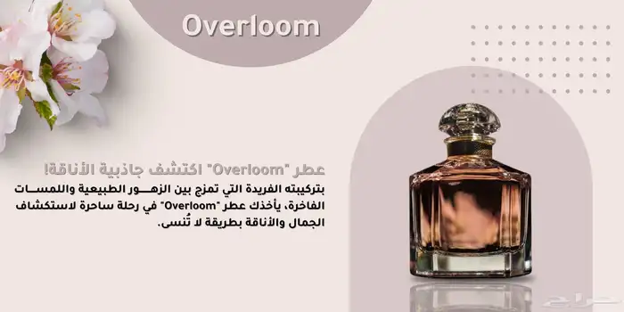 تصميم بوستات سوشل ميديا واعلانات 0