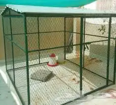 قفص شبك صندقه عشه محكر شبك 19