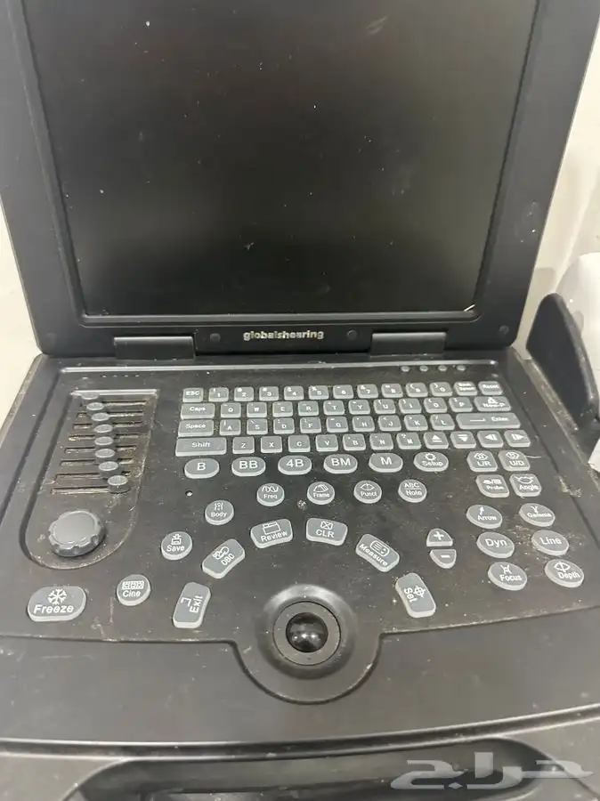 فحص سونار غنم 3