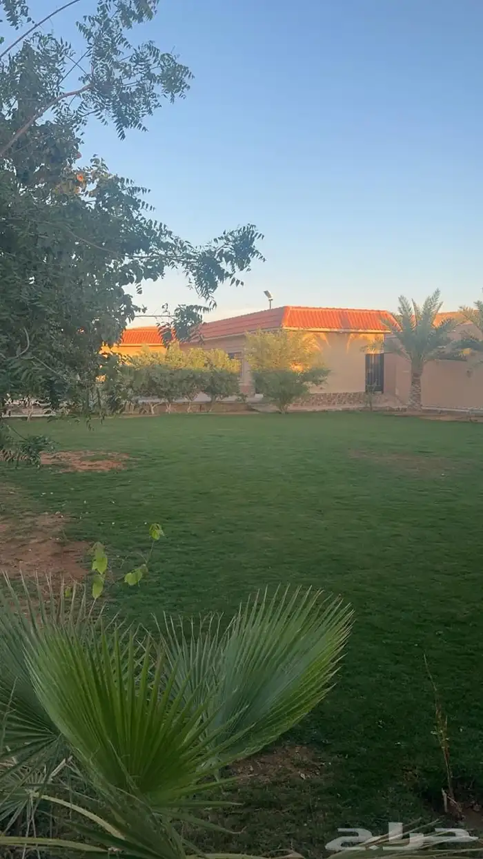 استراحة المها في ديراب للايجار اليومي 31