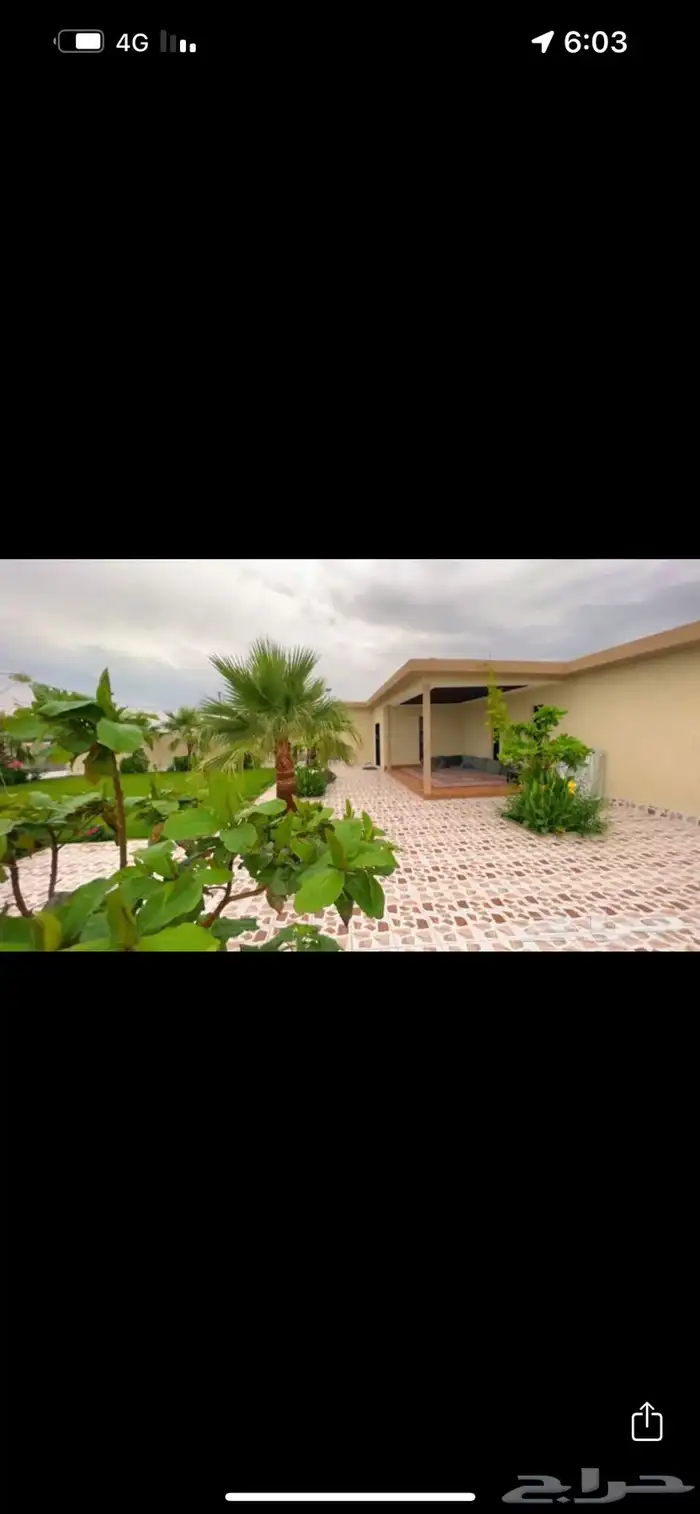 مزرعة على شاليه - اسمه يبه علي 1