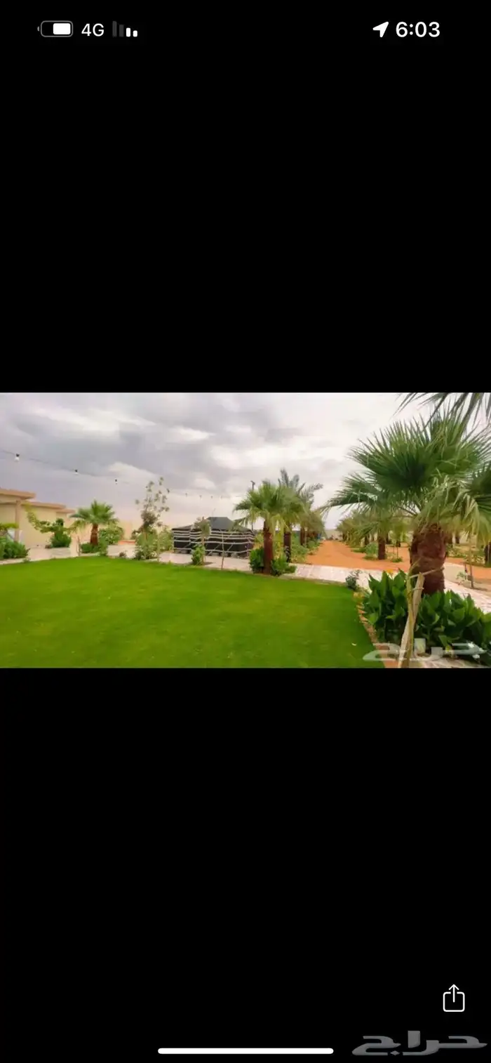 مزرعة على شاليه - اسمه يبه علي 12