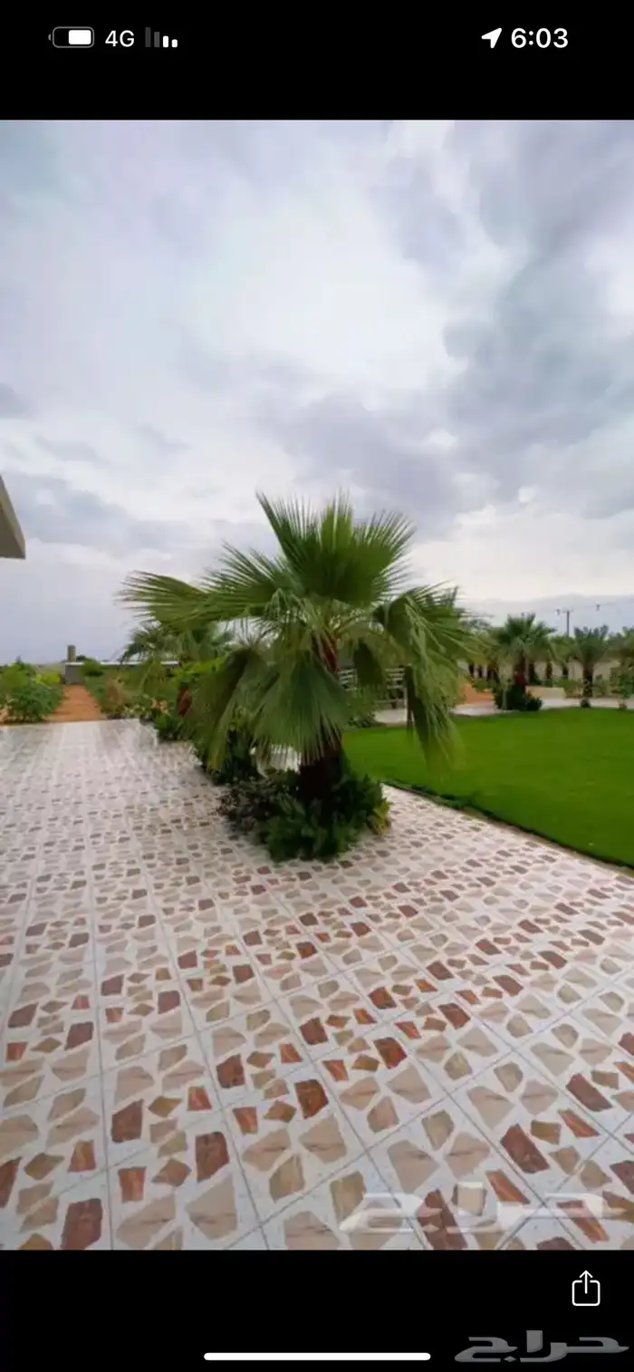 مزرعة على شاليه - اسمه يبه علي 2