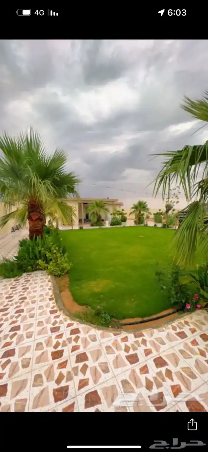 مزرعة على شاليه - اسمه يبه علي 4