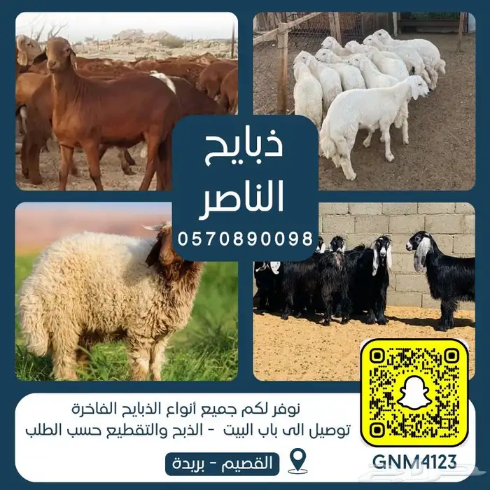 ذبيحتك لباب بيتك نعيمي و حري و سواكني 0