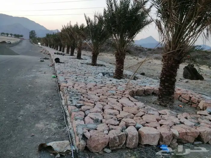 بنا حجر عشوائي ربراب 4