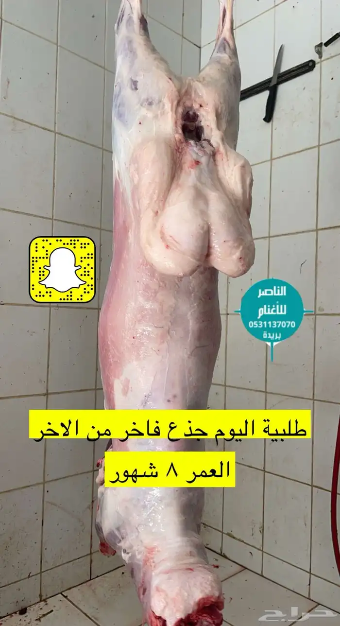 ذبيحتك لباب بيتك نعيمي و حري و سواكني 2
