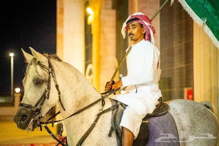 مصور فيديو (برومو) وتصوير جوي درون (مصرح) في ينبع 6