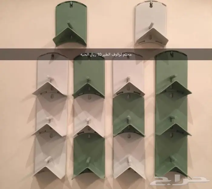 مستلزمات طيور 5