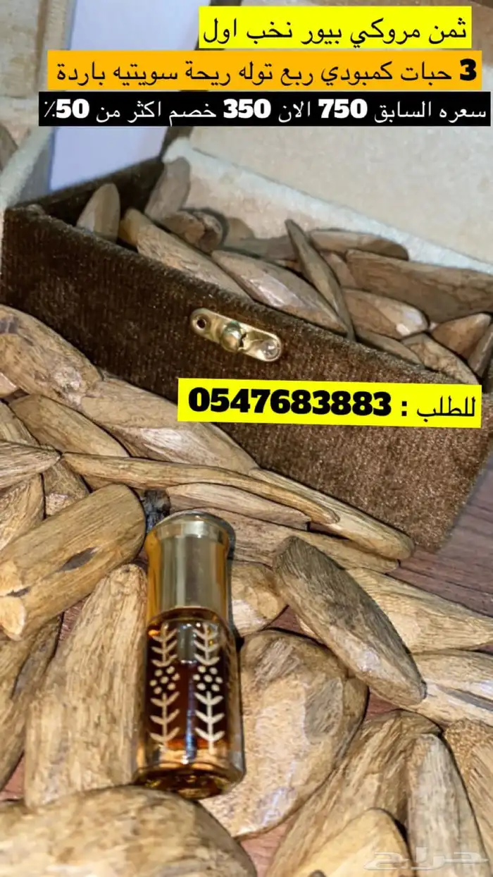 عود مروكي بيور نخب اول 2