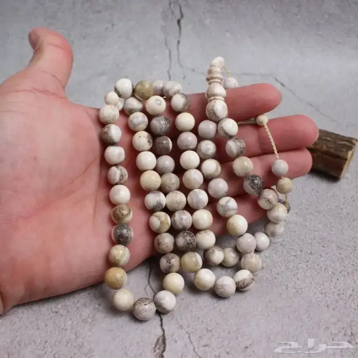 مسباح من قرن الغزال الأيل الأوروبي 2