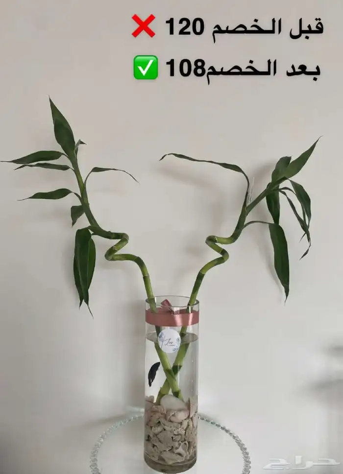 احواض سمك وأغصان بامبو  هدايا وأكثر 14