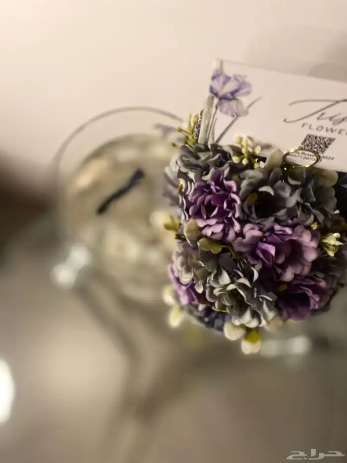 احواض سمك وأغصان بامبو  هدايا وأكثر 13