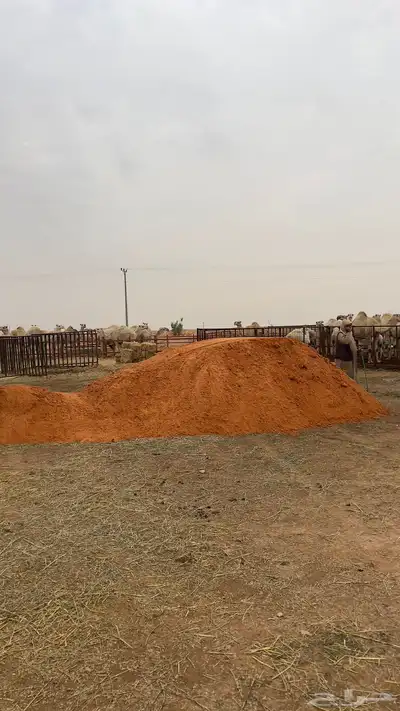رمل احمر نفود بطحاء 0