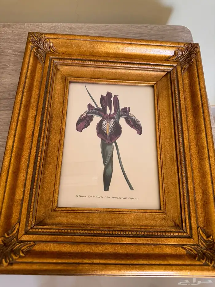 صينية و لوحات مع برواز 4