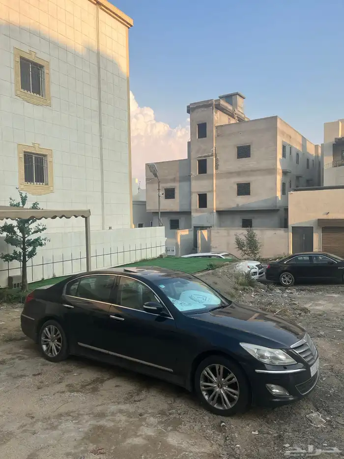 جينسس موديل 2013 8