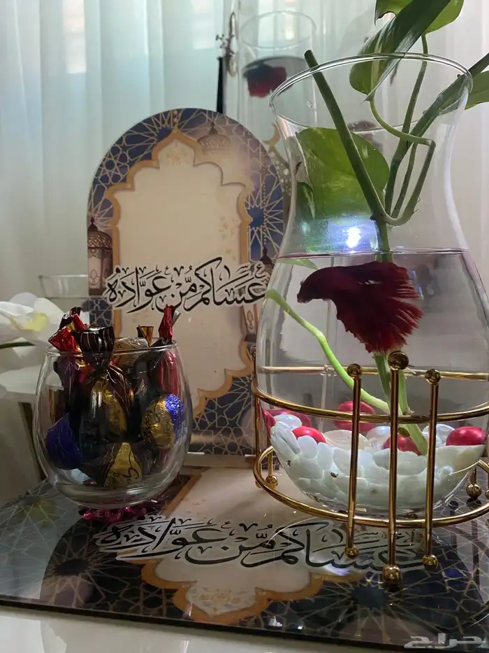 أسماك وهدايا 12