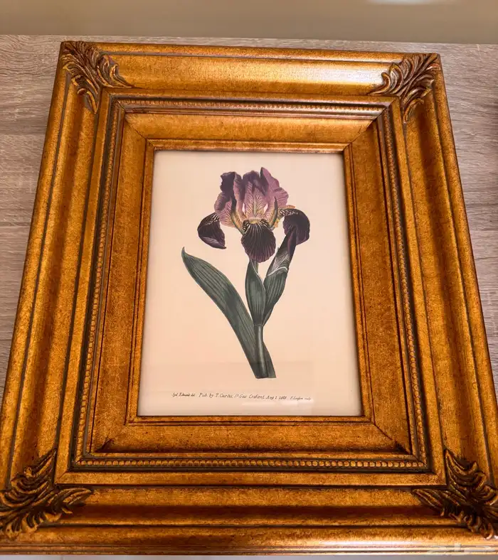 صينية و لوحات مع برواز 3