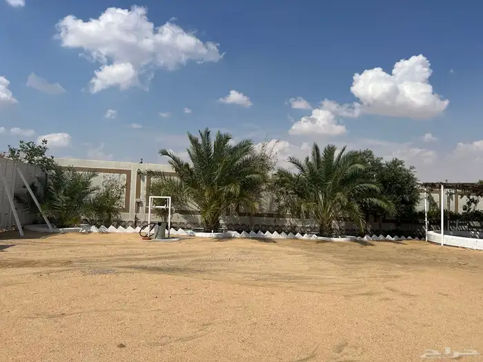 للمناسبات القمة 21