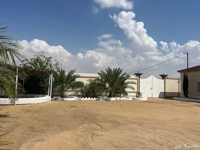 للمناسبات القمة 15