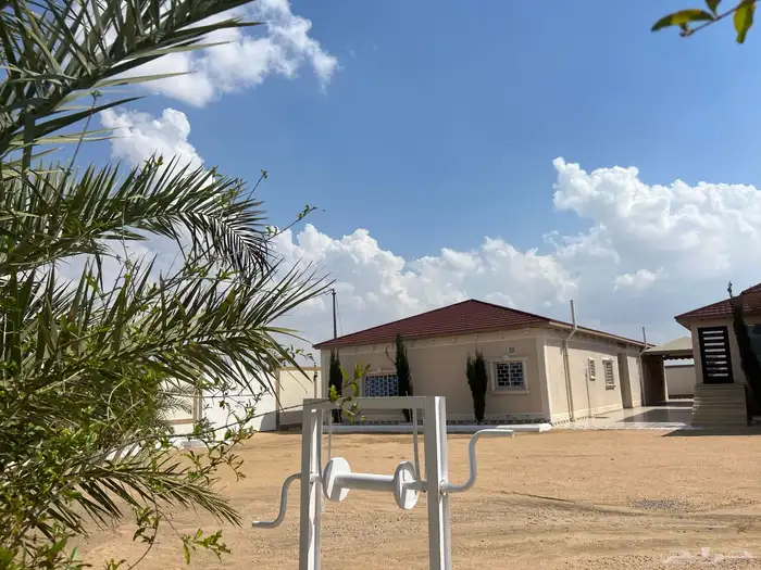 للمناسبات القمة 17