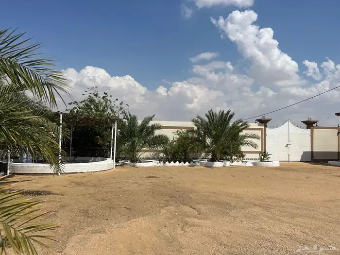 للمناسبات القمة 16