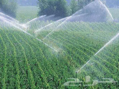 رذاذ تمديدات رذاذ 11