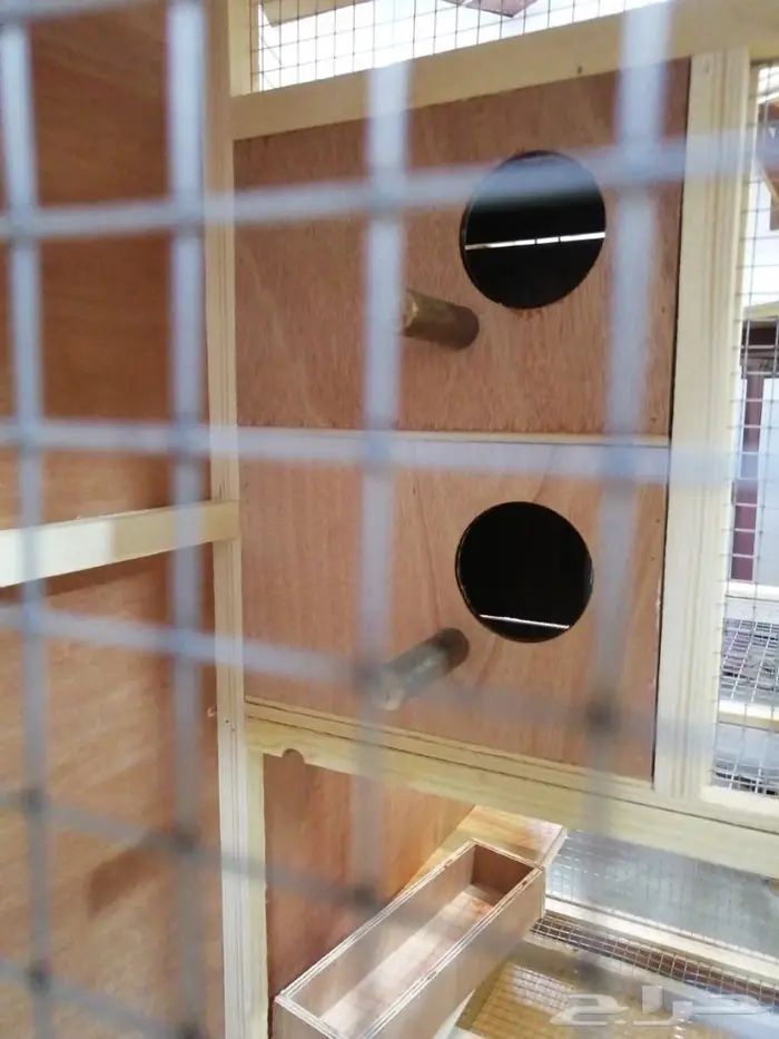 قفص عصافير خشبي 7