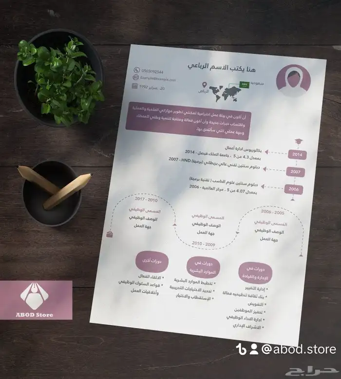 سيرة ذاتية احترافية 30 ريال 1