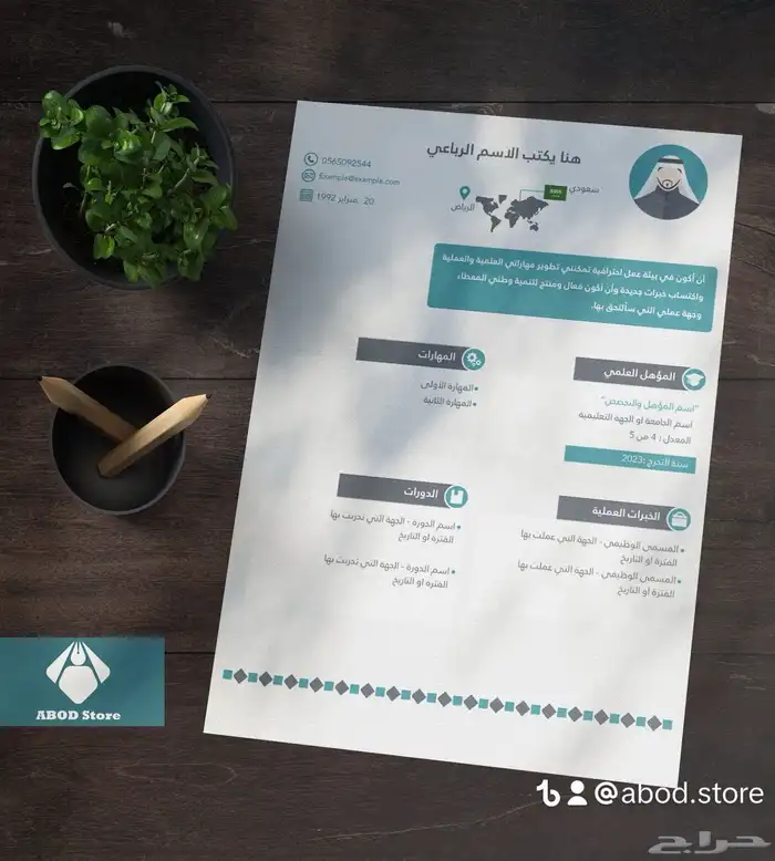 سيرة ذاتية احترافية 30 ريال 0