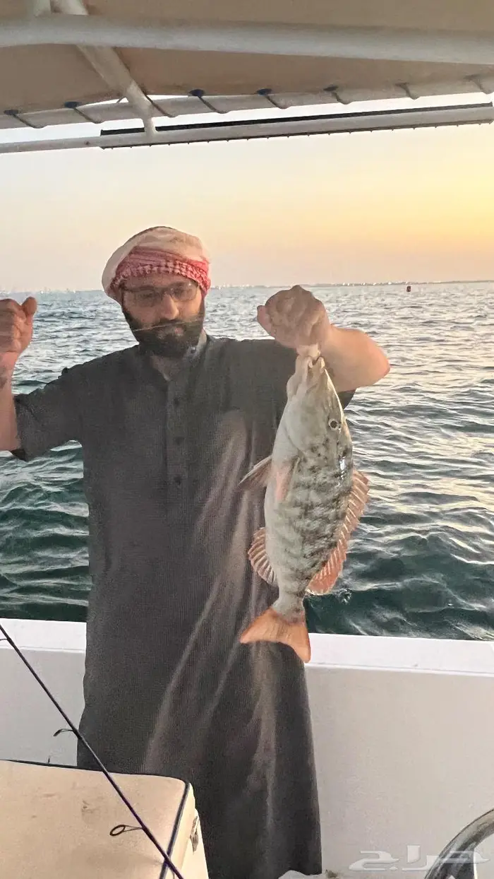 تأجير القوارب البحرية للشباب والعوائل في الجبيل الصناعية 16