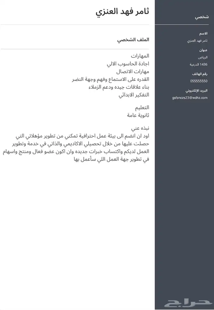 سيره ذاتيه احترافية 0