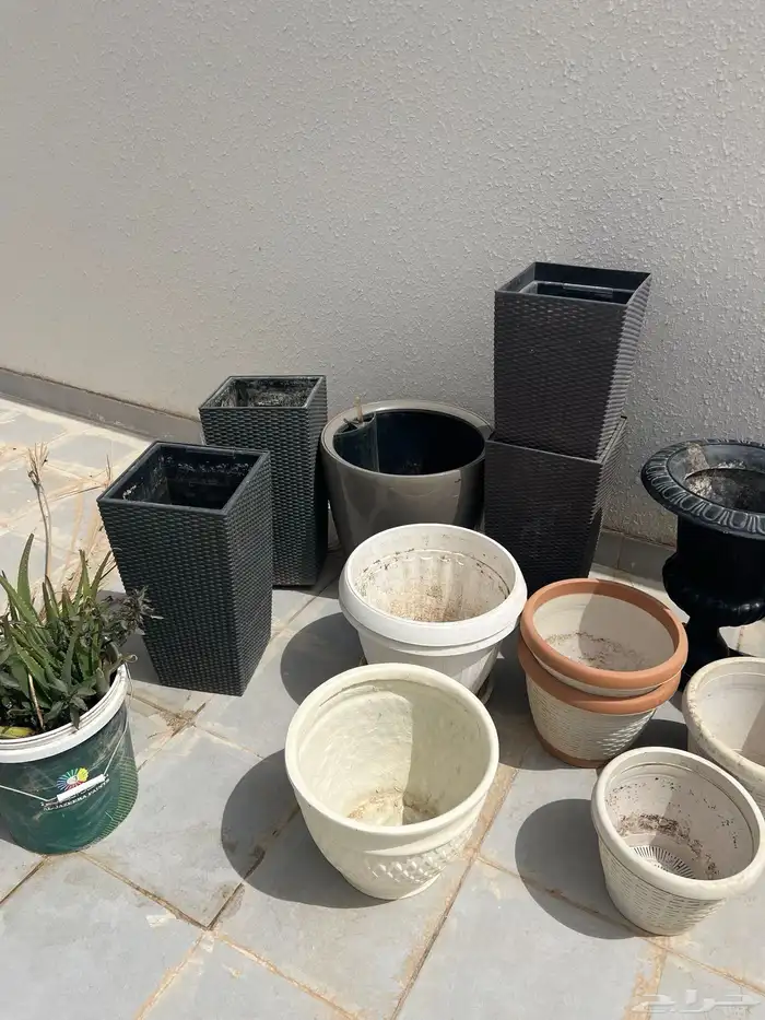 مجموعة عدد من حوض مركن زراعة مستعمل 1