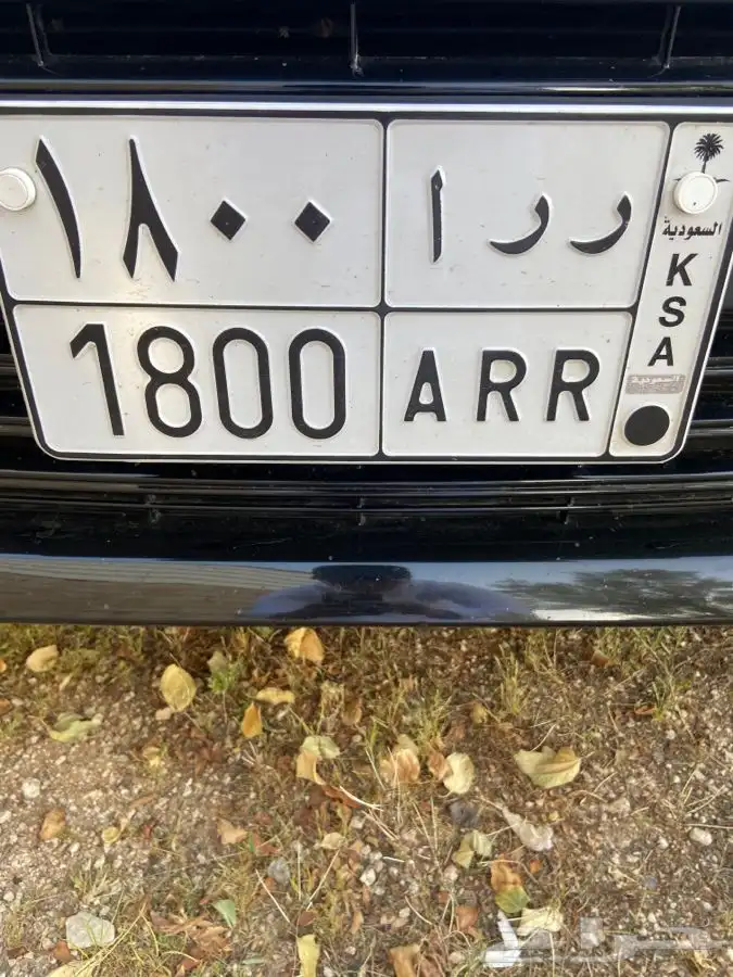 للبيع لوحتين مميزه رقم مكر 1