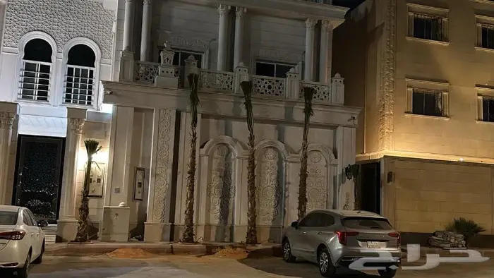 نخل واشنطني زينه 3