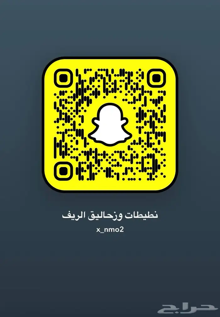 نطيطات زحاليق ملاعب صبوني 7