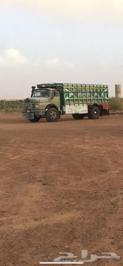 عايدي للبيع 0
