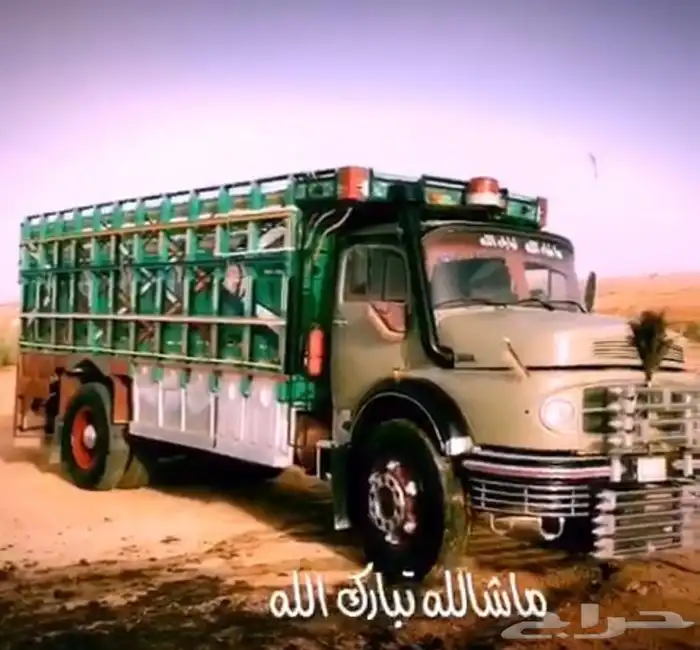 عايدي للبيع 2