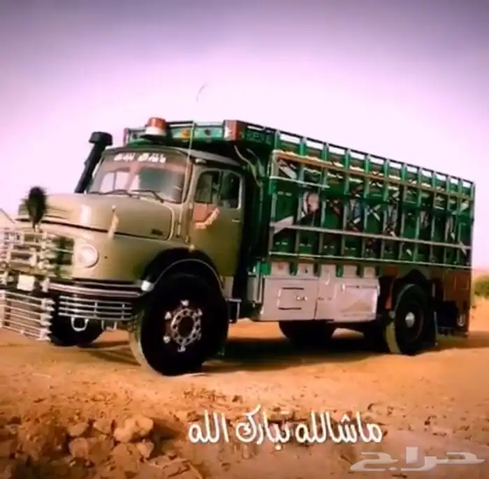 عايدي للبيع 4