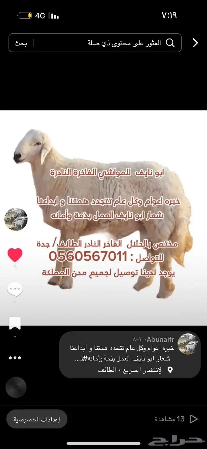 سواكن حري نجدي ذبايح من الطايف 8