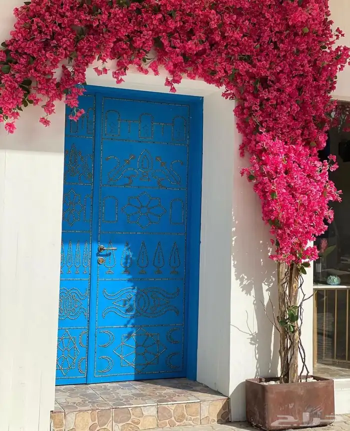 اشجار وزروع الجهنميه والزيتون 9