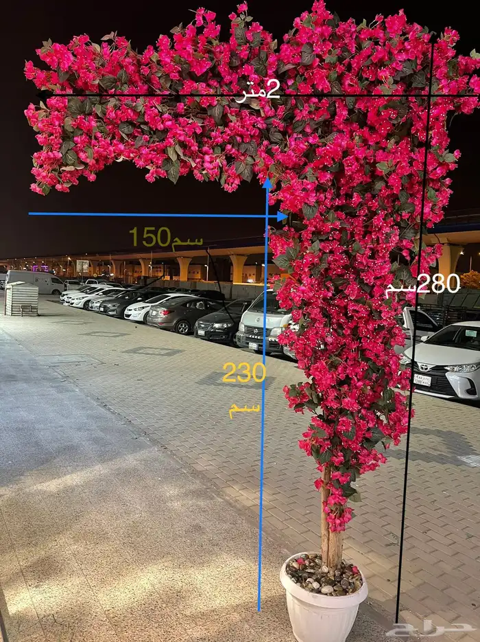 اشجار وزروع الجهنميه والزيتون 14