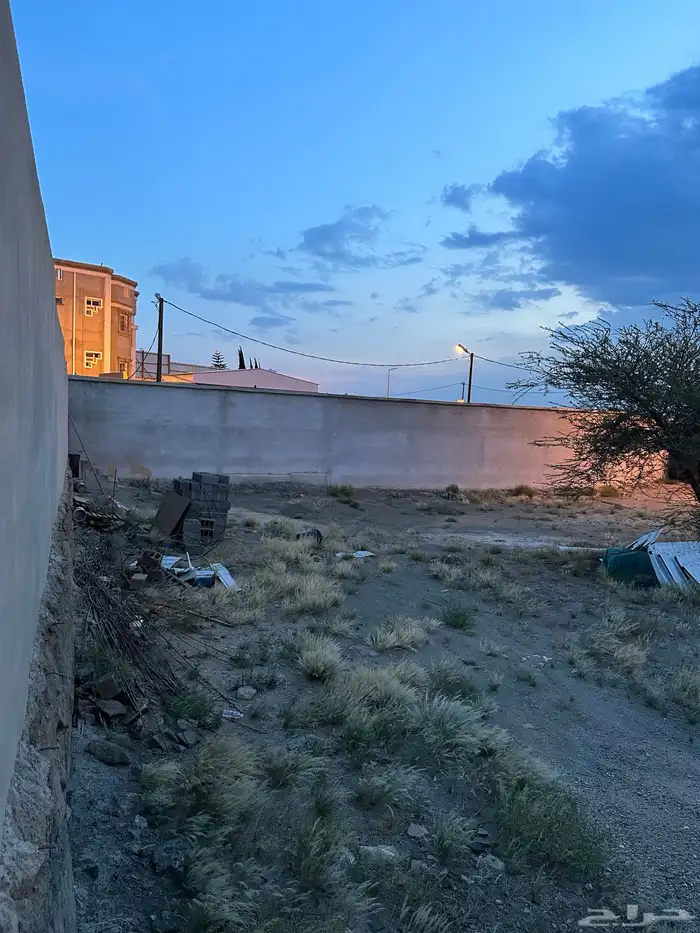 للإيجار ارض 1