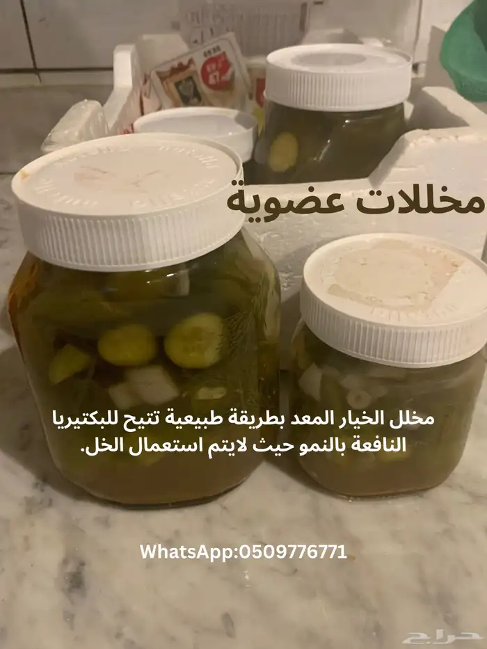 مخلل خيار. 0