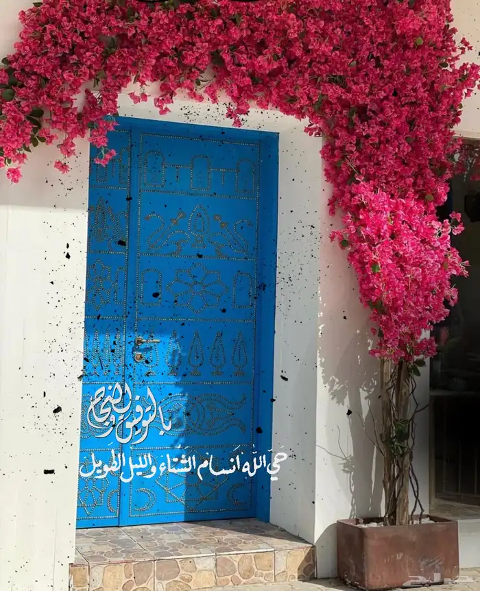 اشجار وزروع الجهنميه والزيتون 8