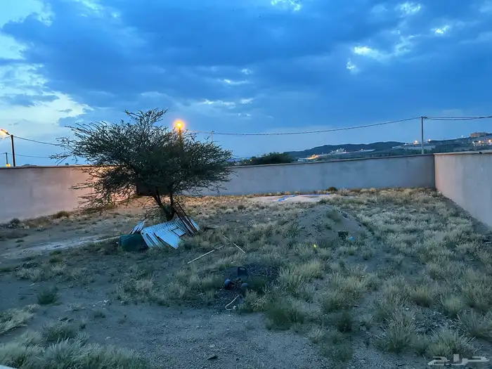 للإيجار ارض 0