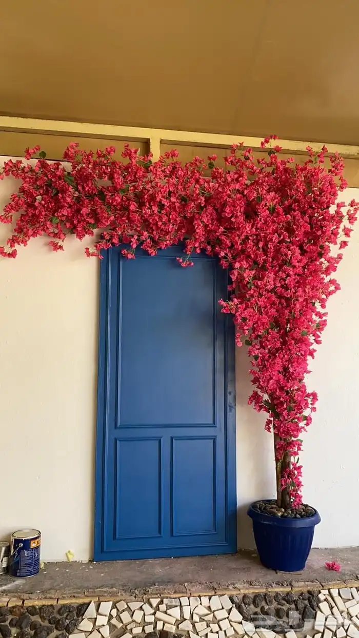 اشجار وزروع الجهنميه والزيتون 4