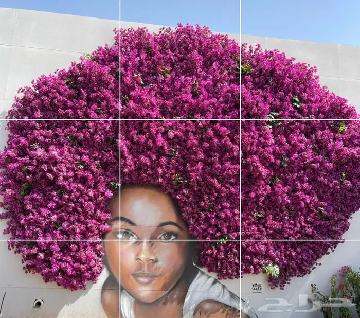 اشجار وزروع الجهنميه والزيتون 1