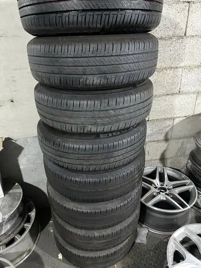 جنوط يارس 2024 وكاله مع كفراتها 2